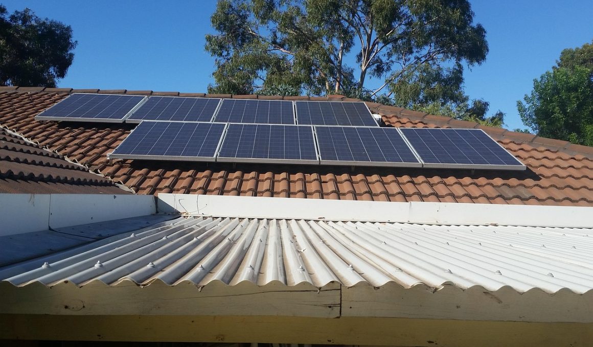 panouri fotovoltaice energie verde